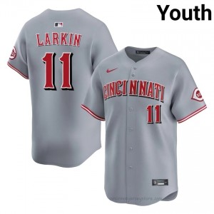 Genuine Barry Larkin #11 CIN Reds Youth Baseball Jersey | Gray Queen City Pride Edition rifc5626
