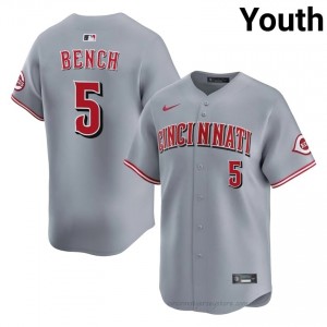 MLB Johnny Bench #5 CIN Reds Youth Baseball Jersey | Gray Queen City Pride Edition k04y2019